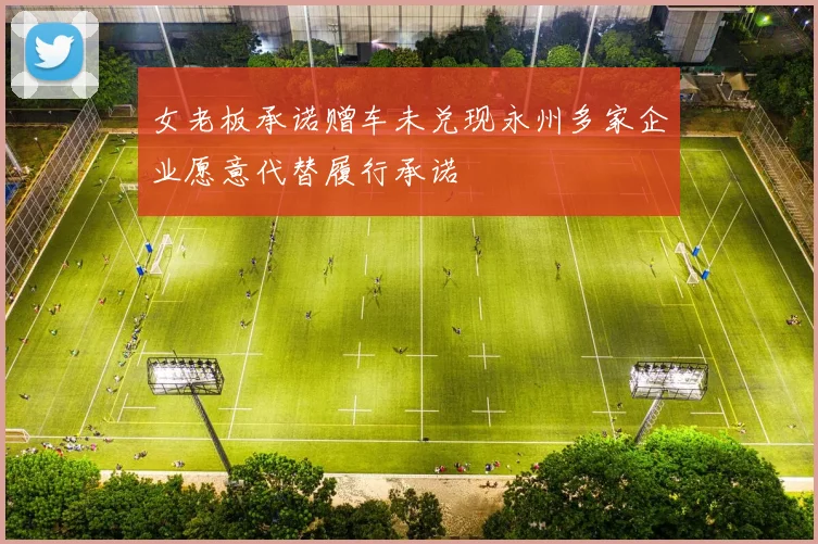 女老板承诺赠车未兑现永州多家企业愿意代替履行承诺