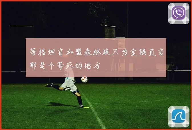 蒂格坦言加盟森林狼只为金钱直言那是个等死的地方
