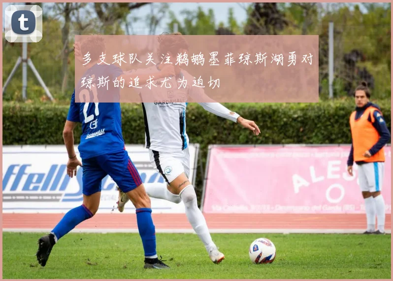 多支球队关注鹈鹕墨菲琼斯湖勇对琼斯的追求尤为迫切